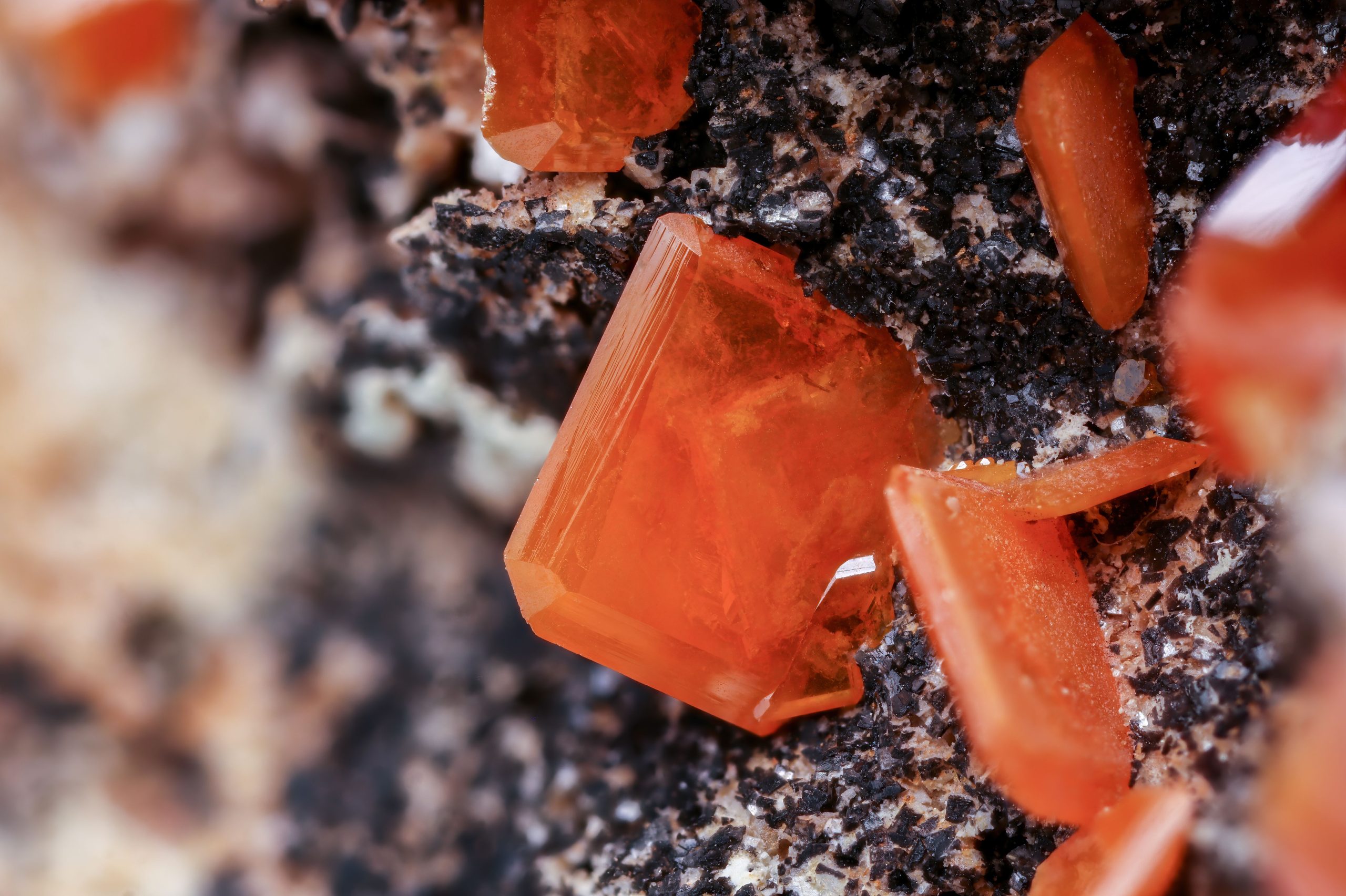 Macro shot of vibrant red vanadinite crystals on a dark mineral base.
